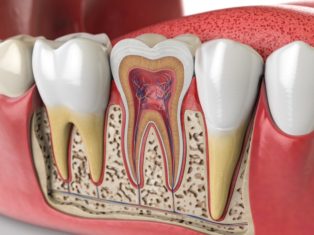 Biological Root Canal Treatment Dr. Scott Chandler, DMD Park City, UT